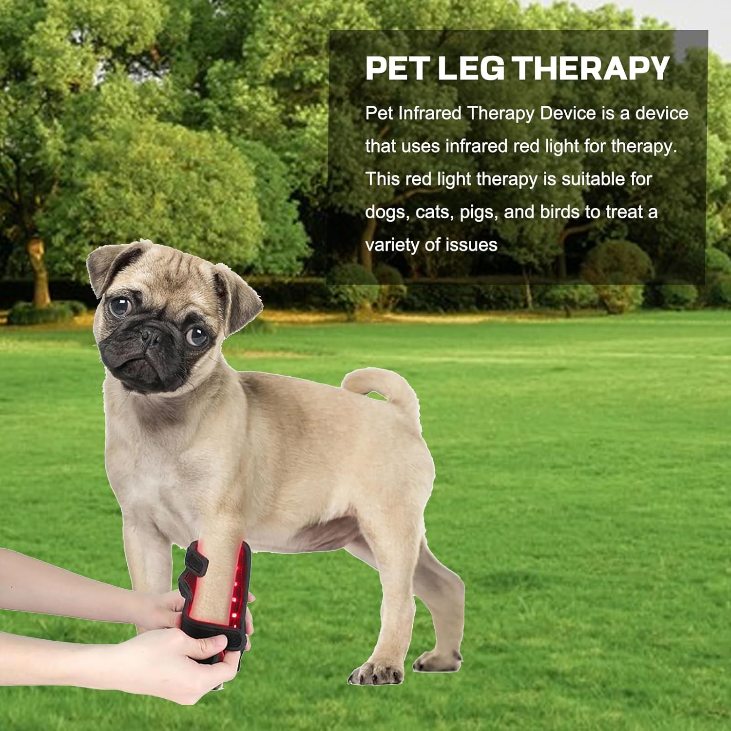 Red Light Therapy Belt for Pets Dogs, Portable Timing Wearable Infrared Therapy Device for Dogs Relieve Joint & Leg Pain