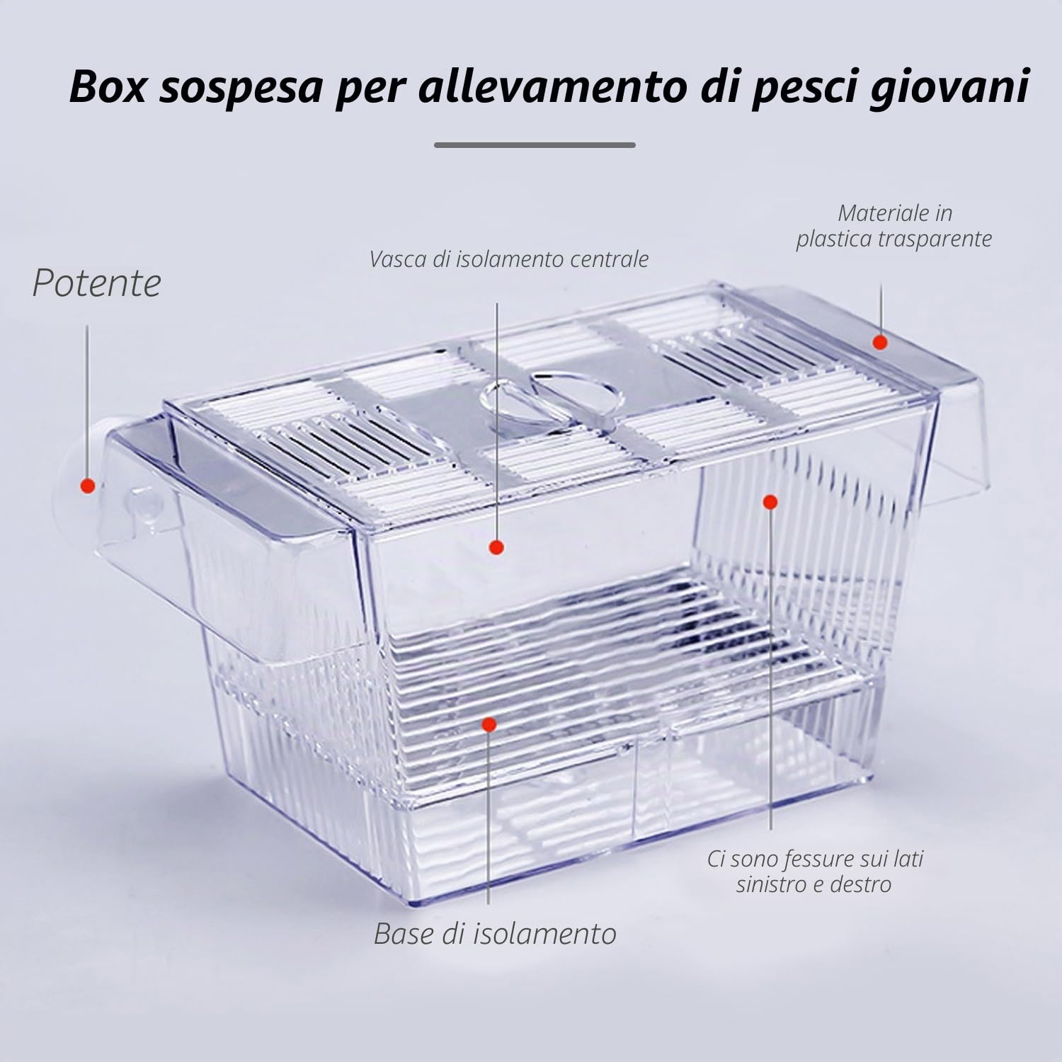 Scatola di isolamento trasparente a doppio strato, multifunzionale, galleggiante, con ventosa, per la cura di pesci piccoli nell'acquario, 12,6 x 7 x 7 cm
