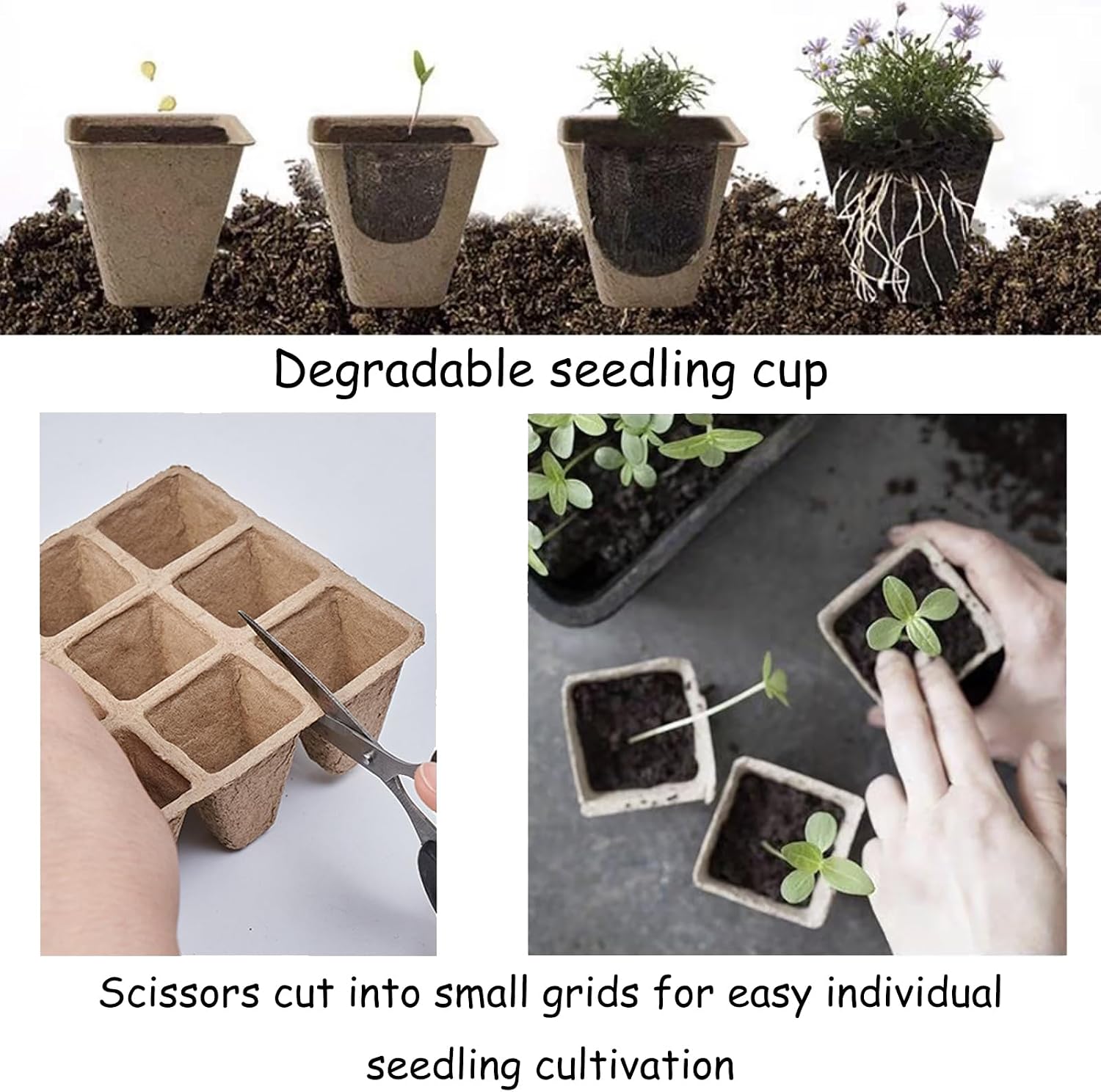 144 Cells Seed Starter Pots, 12 Pcs Biodegradable Seedling Peat Pots