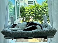 Review Image by Authorized Review Authorized Review