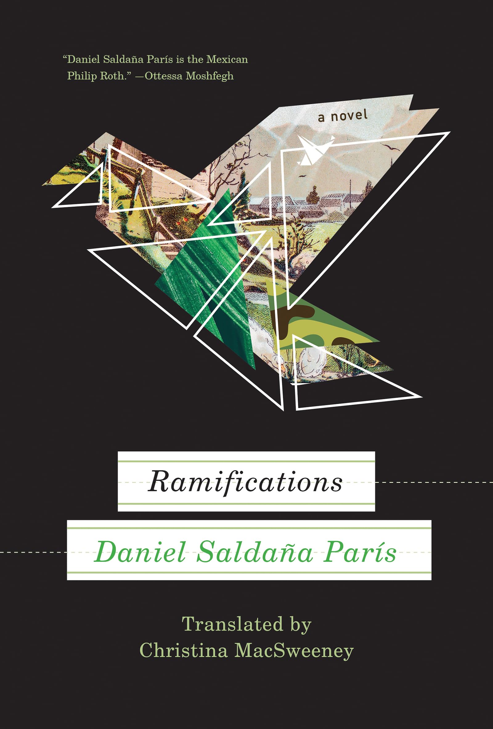 Buy Ramifications — BookShops.in