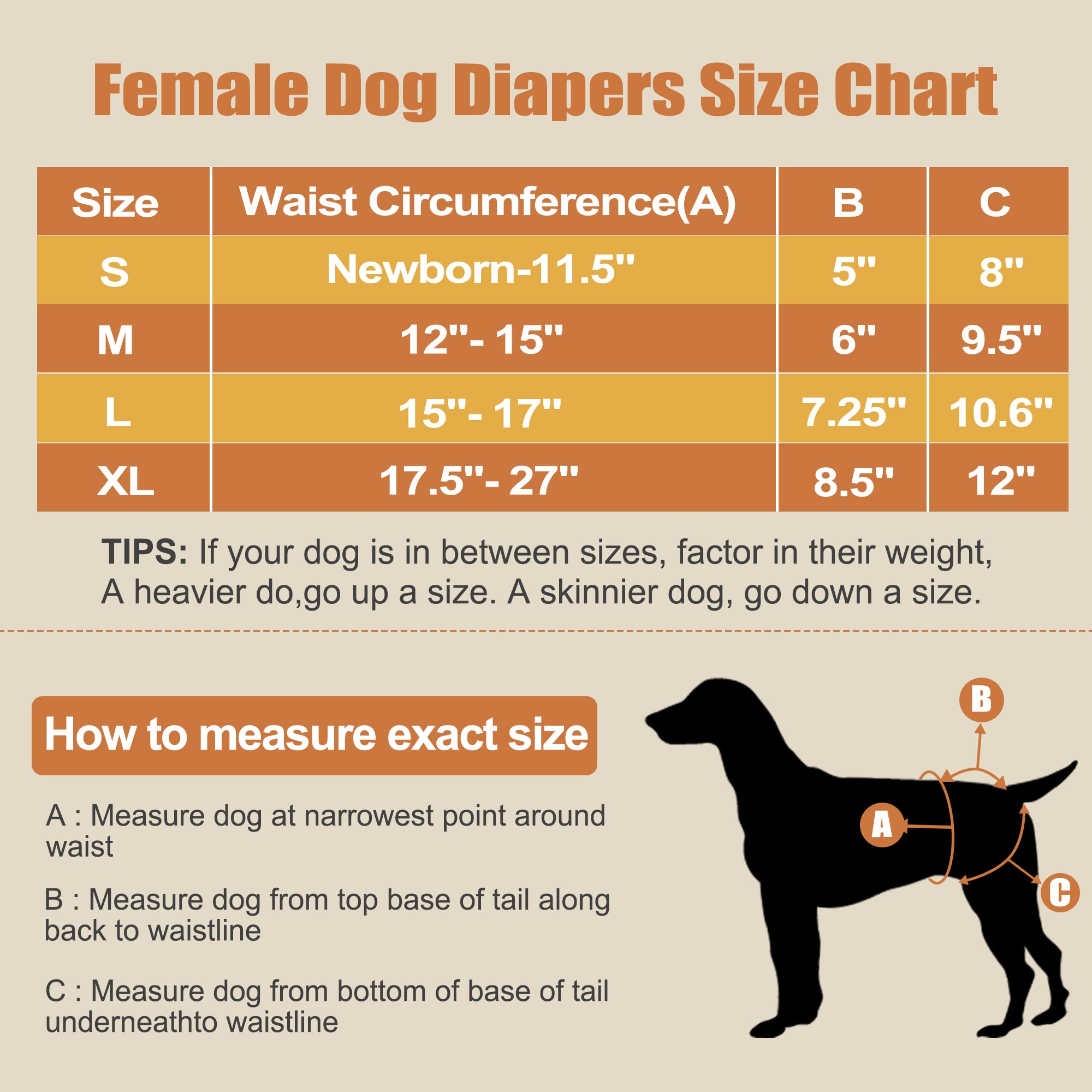 Langsprit 3 Pack Washable Female Dog Diapers - Reusable Dog Diapers for Female Dogs in Period Sizes S to XXL - Image 2