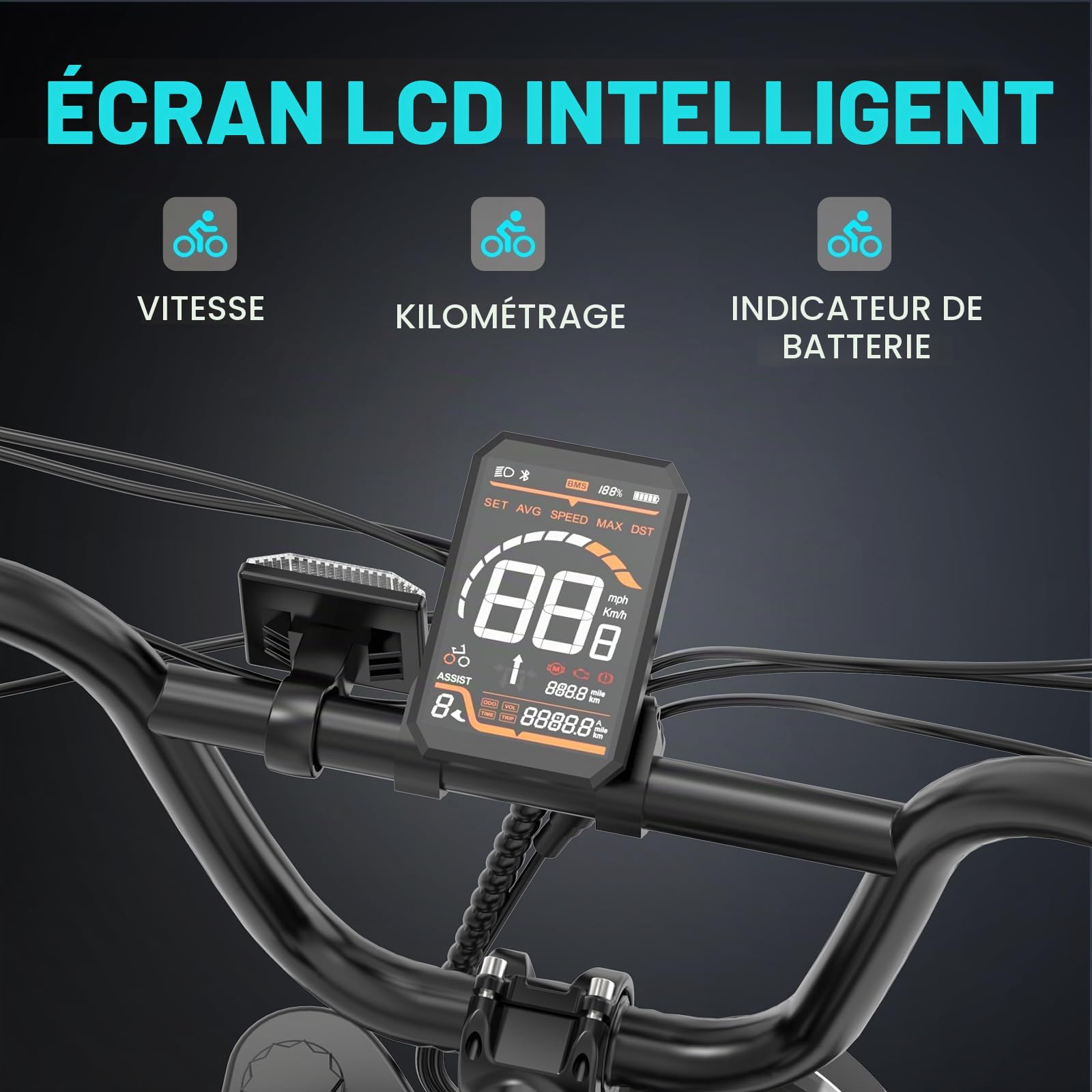 COLORWAY Vélos électriques, EBIKE Tout Terrain de 20 Pouces avec Pneu 4.0 Fat, avec Moteur 250W et Batterie 48V 15Ah, ebike à Moteur Puissant pour Adulte Unisexe.