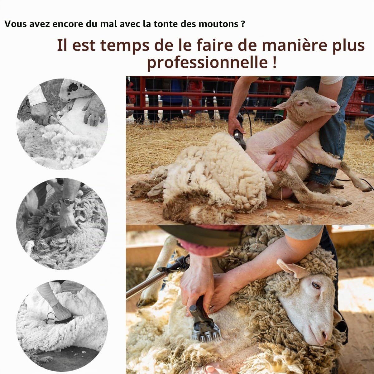 Vinteky 690W Tondeuse à Mouton Electrique 6 Vitesses AjustableTondeuse Mouton électrique Professionnelle Tondeuse pour Laine à Haute Puissance Économie de Travail(Orange)
