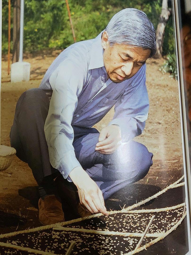 地平らかに 天皇陛下と皇后美智子さまの十年 地平らかに | 天皇陛下と皇后美智子さまの十年 - ノースブック