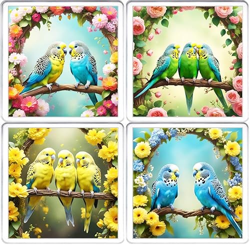 Kazmugz Multicolor Budgerigar Coaster Set. 4 Different Budgie Pictures On 10Cm X 10Cm Acrylic Coasters. Boxed Coaster Drip Mat Set.