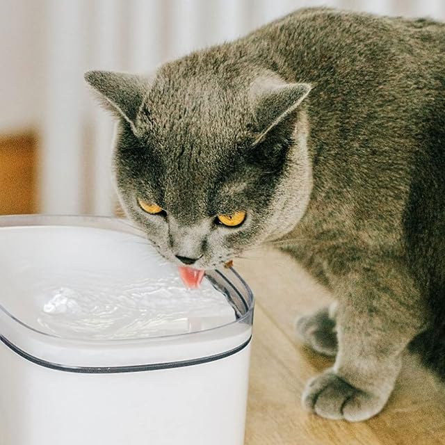 Foto 3 de 4 de PETONEER Fuente de Agua para Animales