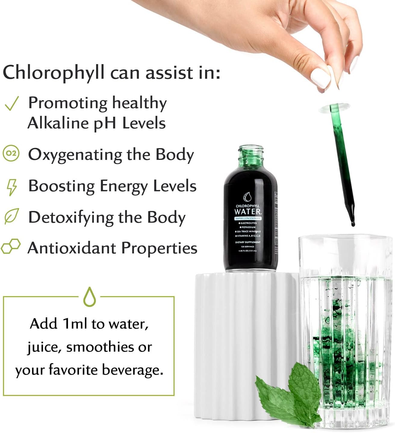 Chlorophyll Water Drops - Liquid Chlorophyll Drops (12,000mg) for Natural Detox, Immune and Energy Support with Antioxidants, Electrolytes, Potassium, Sea Trace Minerals & Vitamins A, B12, C & D3