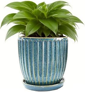 6 Inch Ceramic Plant Pots with Drain Hole & Saucer, Ceramic Pots for Indoor Plants - Succulent, Snake Plant, Money Tree, Aloe Vera, Basil Planter（Glaze Blue）