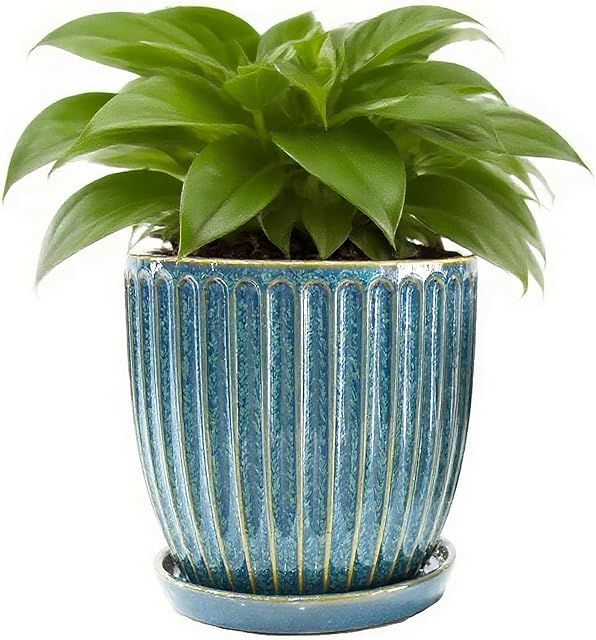 6 Inch Ceramic Plant Pots with Drain Hole & Saucer, Ceramic Pots for Indoor Plants - Succulent, Snake Plant, Money Tree, Aloe Vera, Basil Planter(Glaze Blue)
