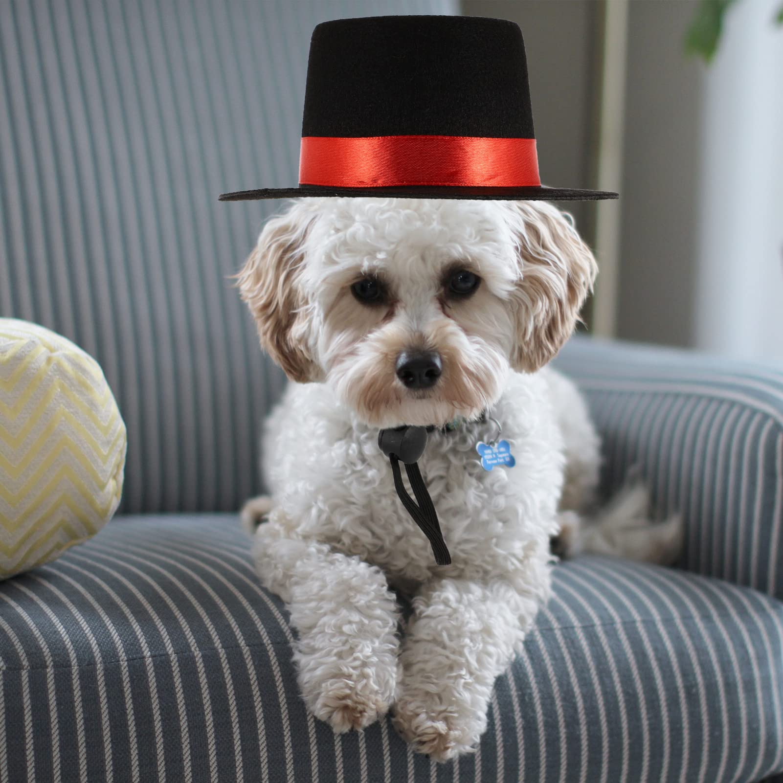 Mini Graduation Caps 2-Pack Pet Graduation Caps With Tassels