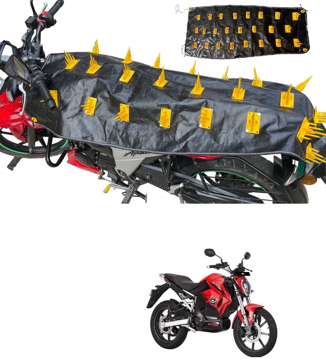 AUTOADDICT Auto Addict Bike and Scooty Car Protection Cover from Monkey