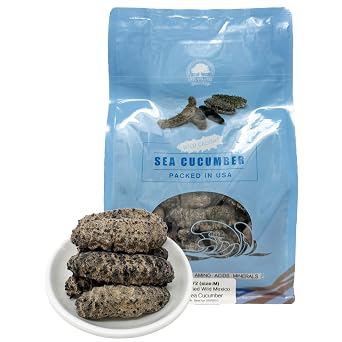 DABC OAK LAND Dried Sea Cucumber Wild Caught,Sun Dried Mexico Black Pin Sea Cucumber All Natural Nutritious Medium-Bag16 Ounces