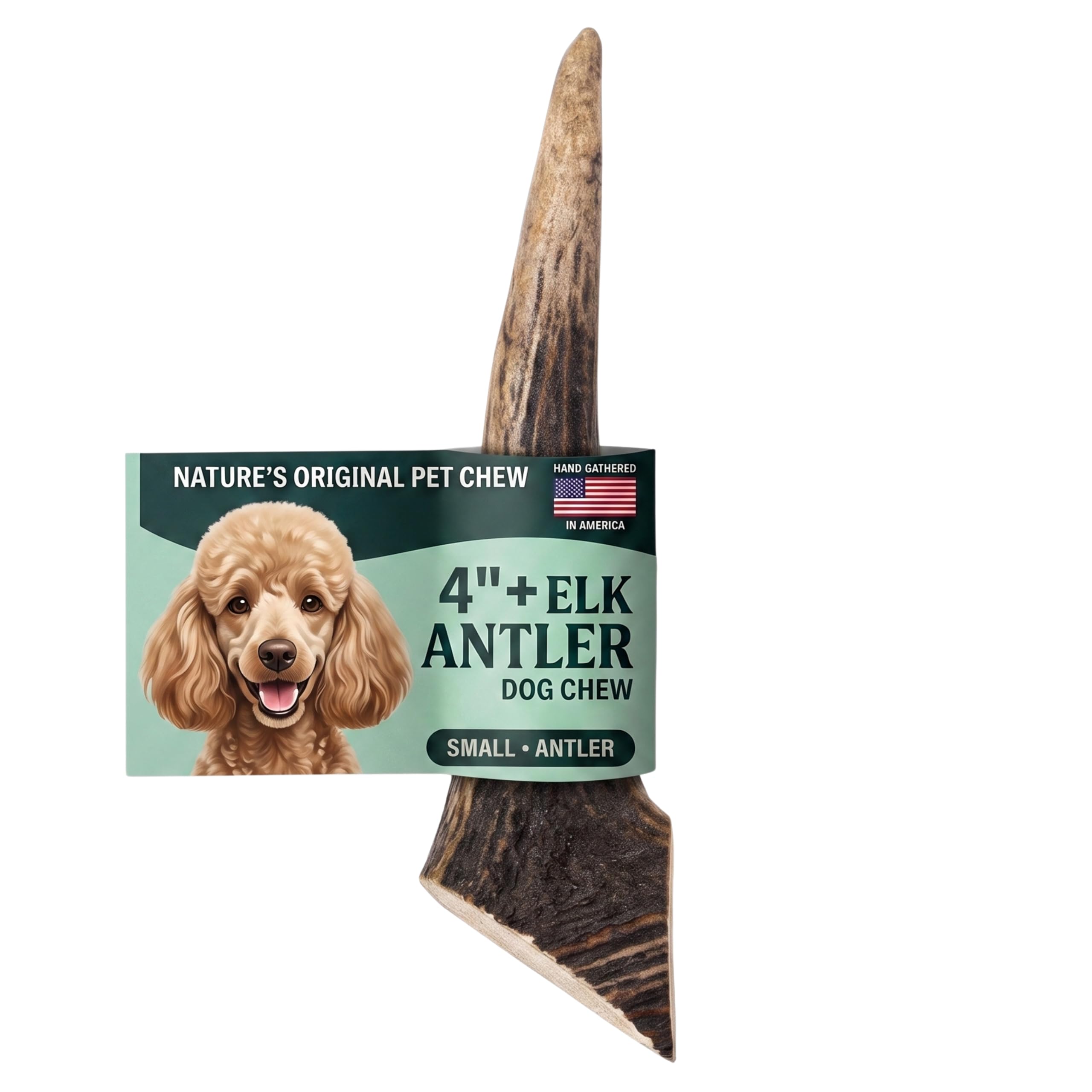 Mountain Valley Elk Antlers for Dogs Chew Whole Dog Antler,1Pack, S