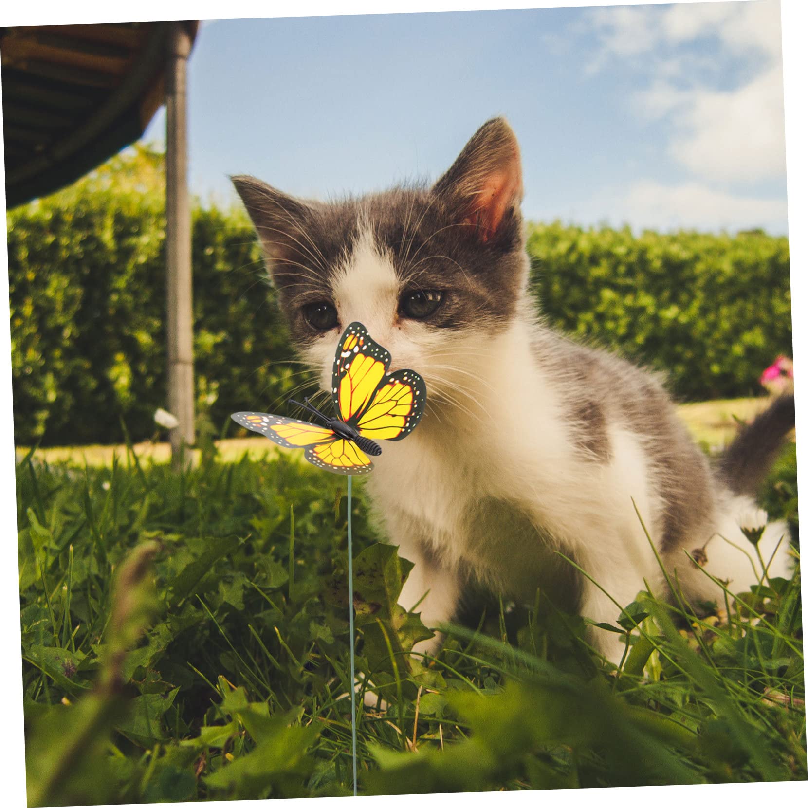 BESTonZON 3 Sätze Garten Schmetterlinge Deko Künstliche Schmetterlinge Mit Stab Für Innen Und Außendekoration Lebendige Farben Vielseitige Anwendung Für Feiern 50 Stück * 3