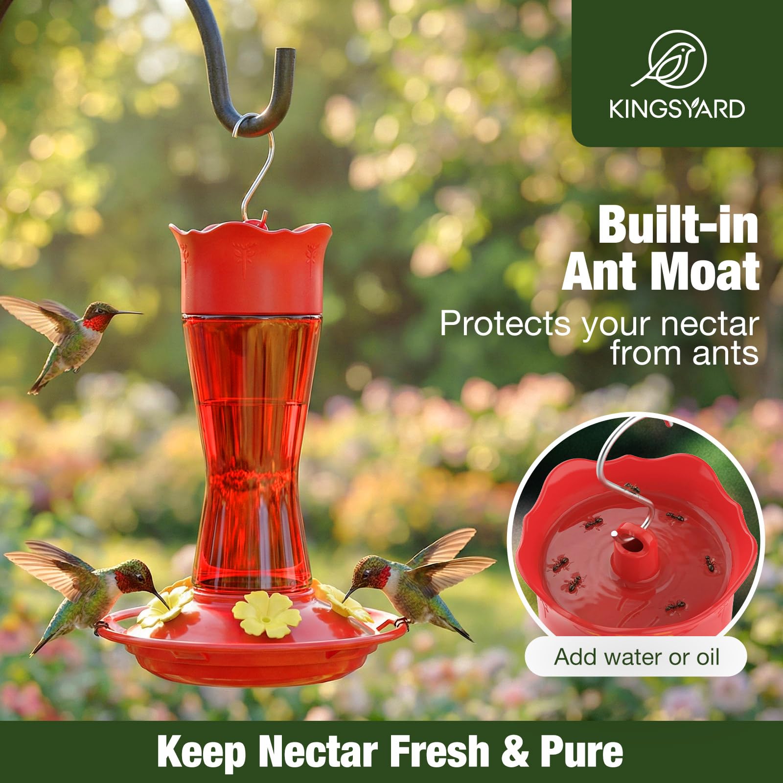 Kingsyard Glass Hummingbird Feeder for Outdoors Hanging, 10 oz Leak-Proof Humming Bird Feeders with Ant Moat & Bee Proof Feeding Ports, Hummingbird Gift for Bird Lovers (Red) - 3