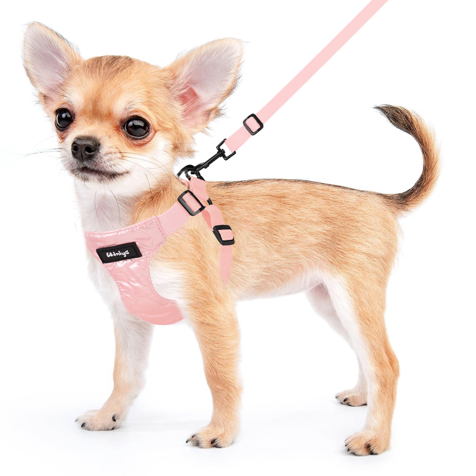Pettorina per Cani, Pettorina per Cani Taglia Piccola, Imbracatura per Cane, Pettorina Puppy Antifuga, Collar per Cani, Cani Accessori (S, Rose)