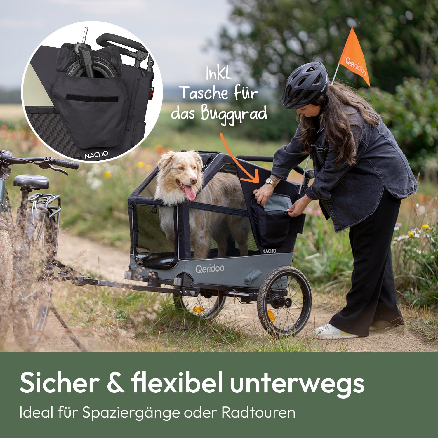 Qeridoo Nacho | Hundeanhänger für Fahrrad | Comfort für den Vierbeiner | Fahrradanhänger Hunde mit Buggy-Funktion | Hundefahrradanhänger mit Federung, Hundebett | Hundeanhänger | Bis 35 kg