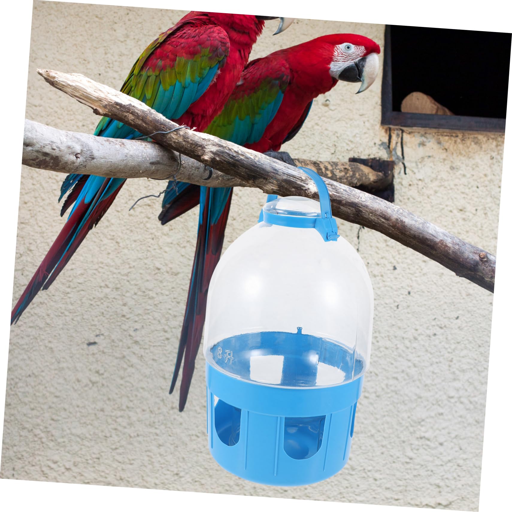 Angoily Comedero para Palomas de Gran Capacidad de Almacenamiento Apto para Familias Y con Báscula para Pájaros