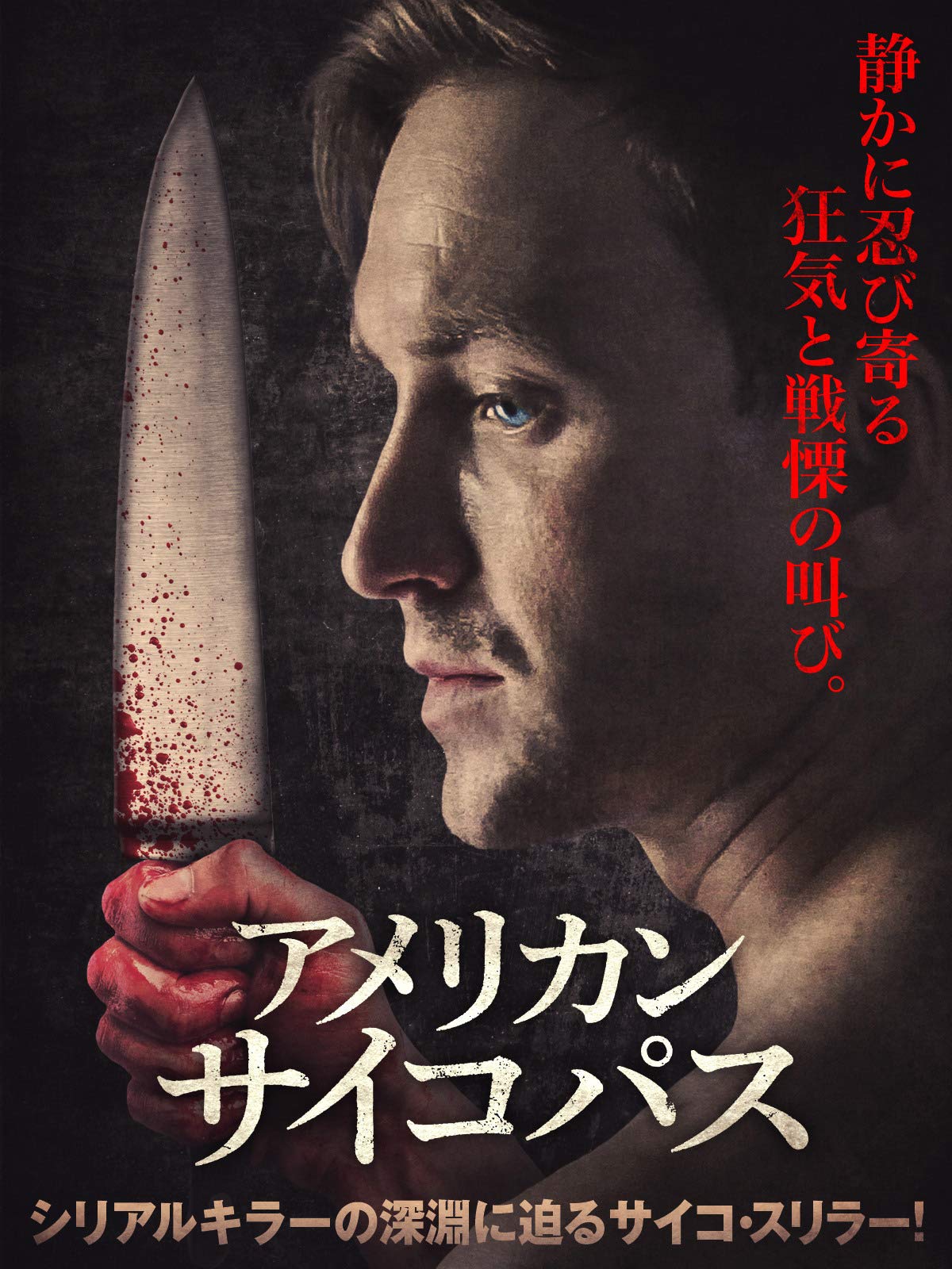 Amazon Co Jp アメリカン サイコパス 字幕版 ウィル ロスハー ナンシー リネハン チャールズ ガブリエル セイント Prime Video