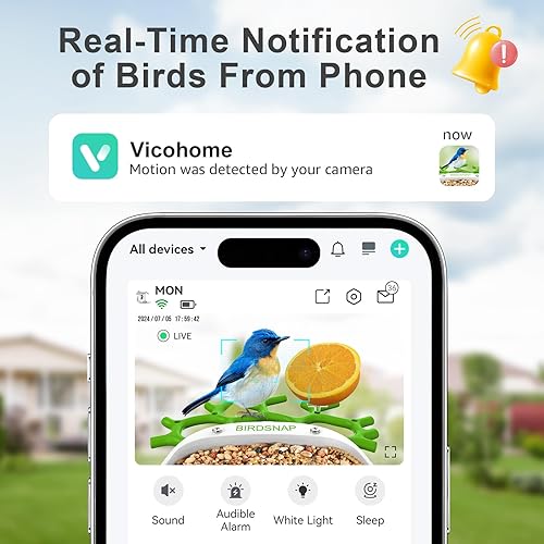 Miniatura 2 de MON - Comedero para pájaros con cámara, alimentador de pájaros desmontable en 2K con tarjeta de 32 GB, tenedor de frutas con tarjeta de 32 GB,