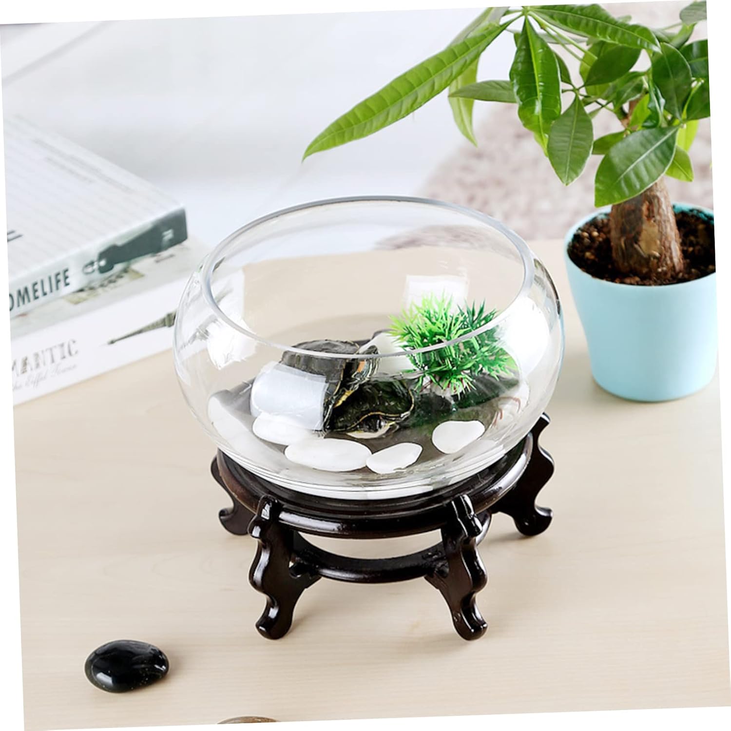 2pcs Transparent Hydroponic Container Smooth Glass Round Planter for Desktop Fish Turtle and Plant Display Compact Decorative Terrarium for Home and Office