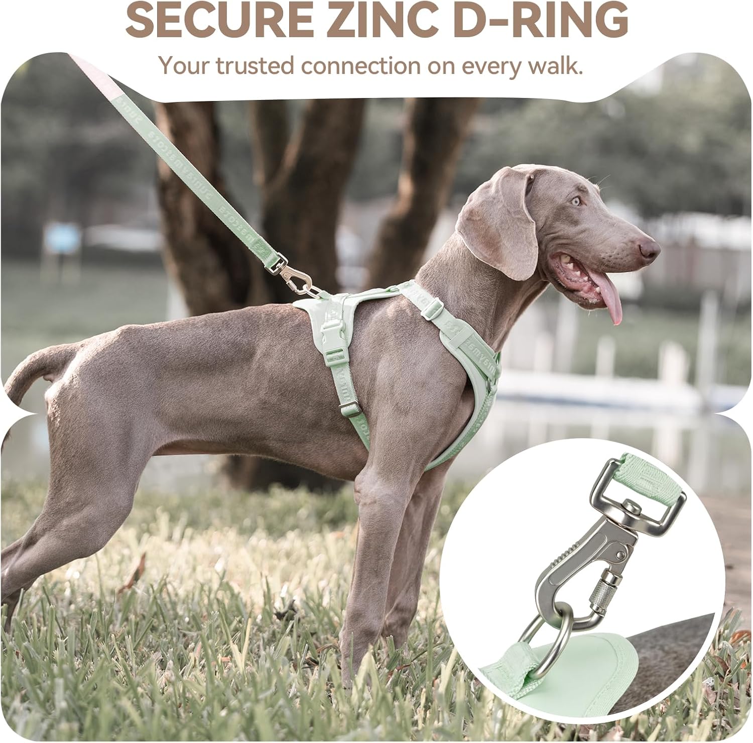 No Pull Dog Harness with Lycra, Three-Point Force Dispersion & 3D Padding, Adjustable Breathable Mesh for Small Medium Large Dogs(Light Green,S)