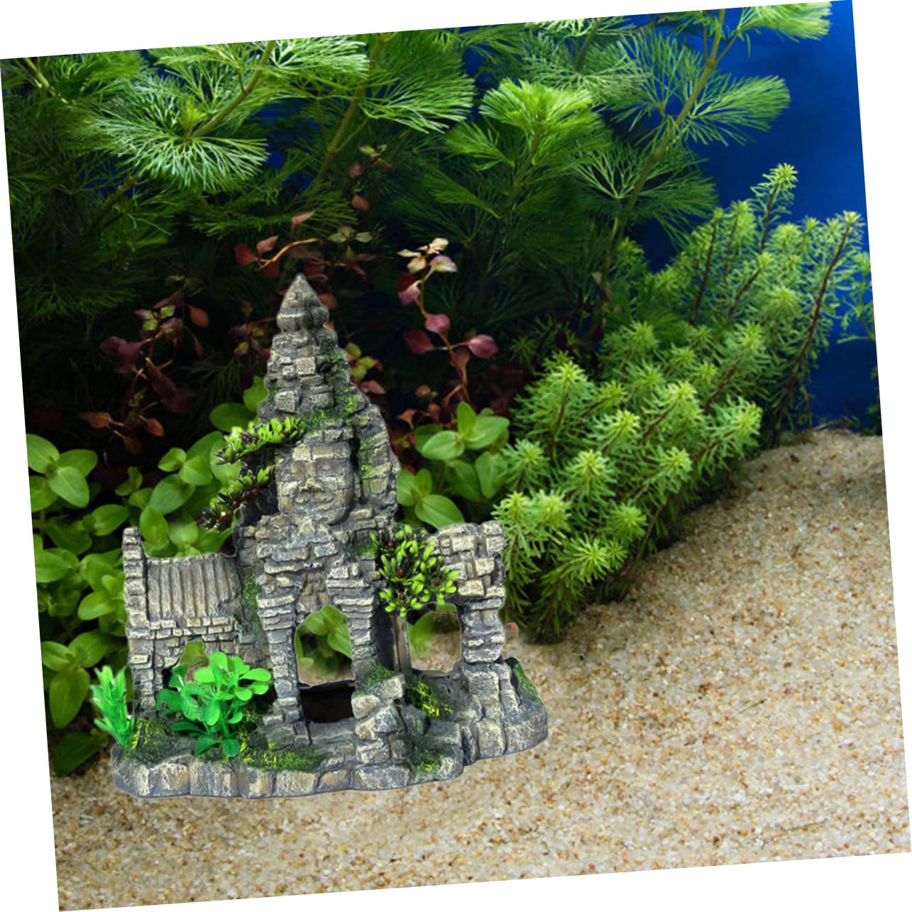 SOLUSTRE Aquarium-höhle Für Garnelen-zucht Fischversteck Fischtank-Dekoration Natürlicher Schmuck Geeignet Für Fische Leichte Reinigung Kein Wasser Verschmutzen