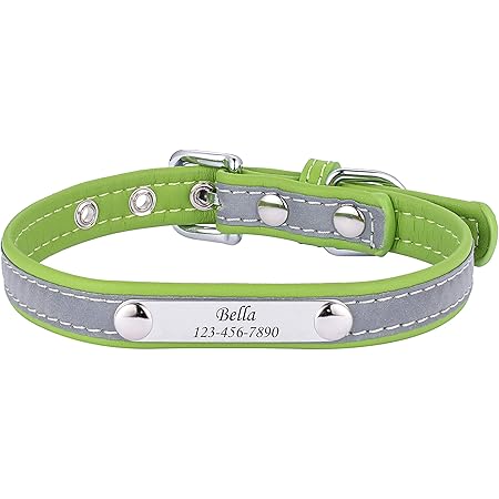 Amazon Hooami 迷子札 カラー選択可 猫 夜光 首輪 名入れ Idタグカスタム チョーカー ネームタグ 革 かわいい 子犬 首輪 小型犬 大中型犬 おしゃれ ペット用品 Hooami ベーシック首輪 通販
