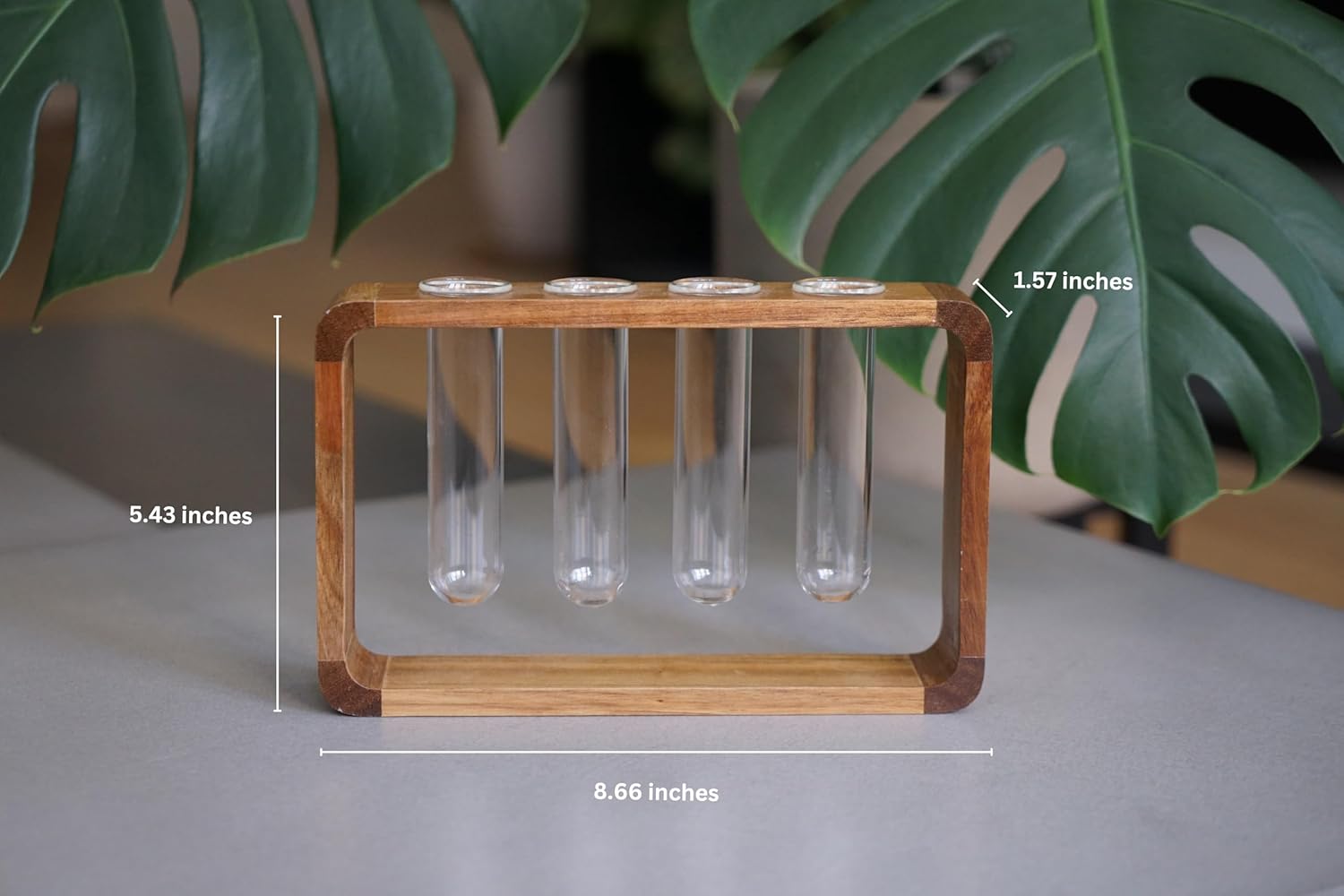 Source & Plot - Plant Propagation Station - Acacia Wood Stand 4 Glass Test Tube Hydroponic Tabletop Rooting Terrarium Planter Rack Home and Office Decor - Last Batch