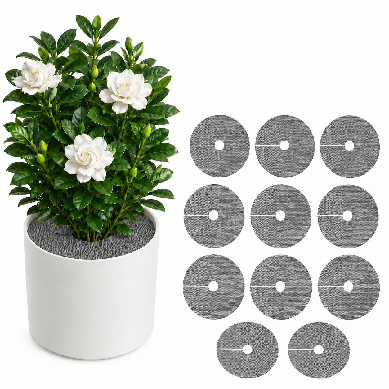 Toyosport 10 Pcs Plant Pot Grids,12 Inch Plant Soil Covers, Round Protectors for Indoor Plants, Plant Protector from Cats Indoor, Adjustable for Various Pot Sizes