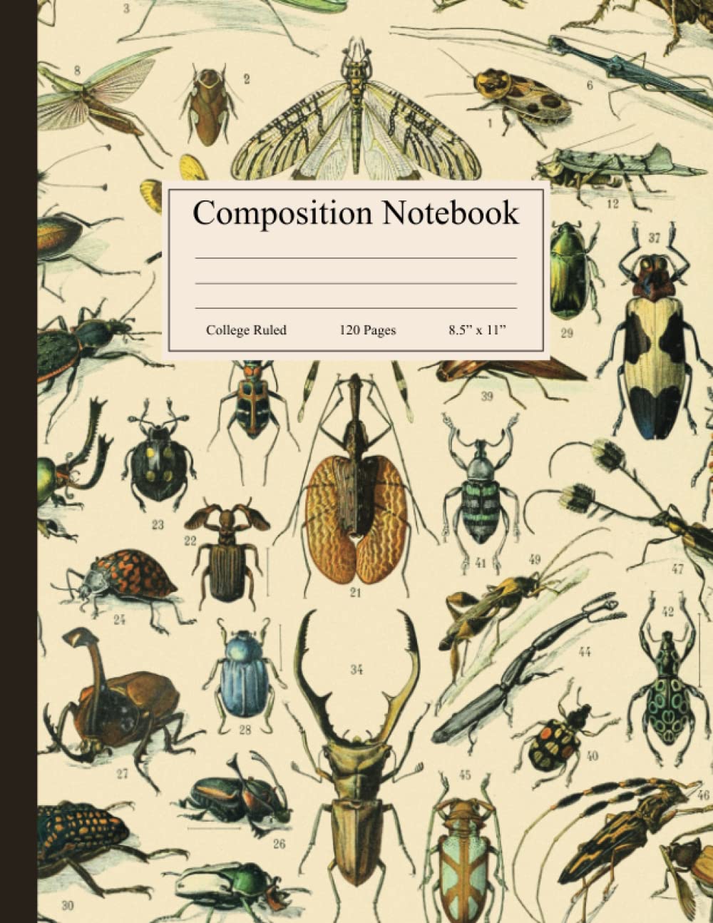 Composition Notebook: Vintage Insect Illustration. Entomology Journal, College Ruled, 120 Pages, 8.5" x 11"