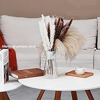 Vista 5 de Floreros de vidrio transparente de 8 pulgadas para centro de mesa, decoración de escritorio interior del hogar, jarrón de estilo bohemio moderno Ins