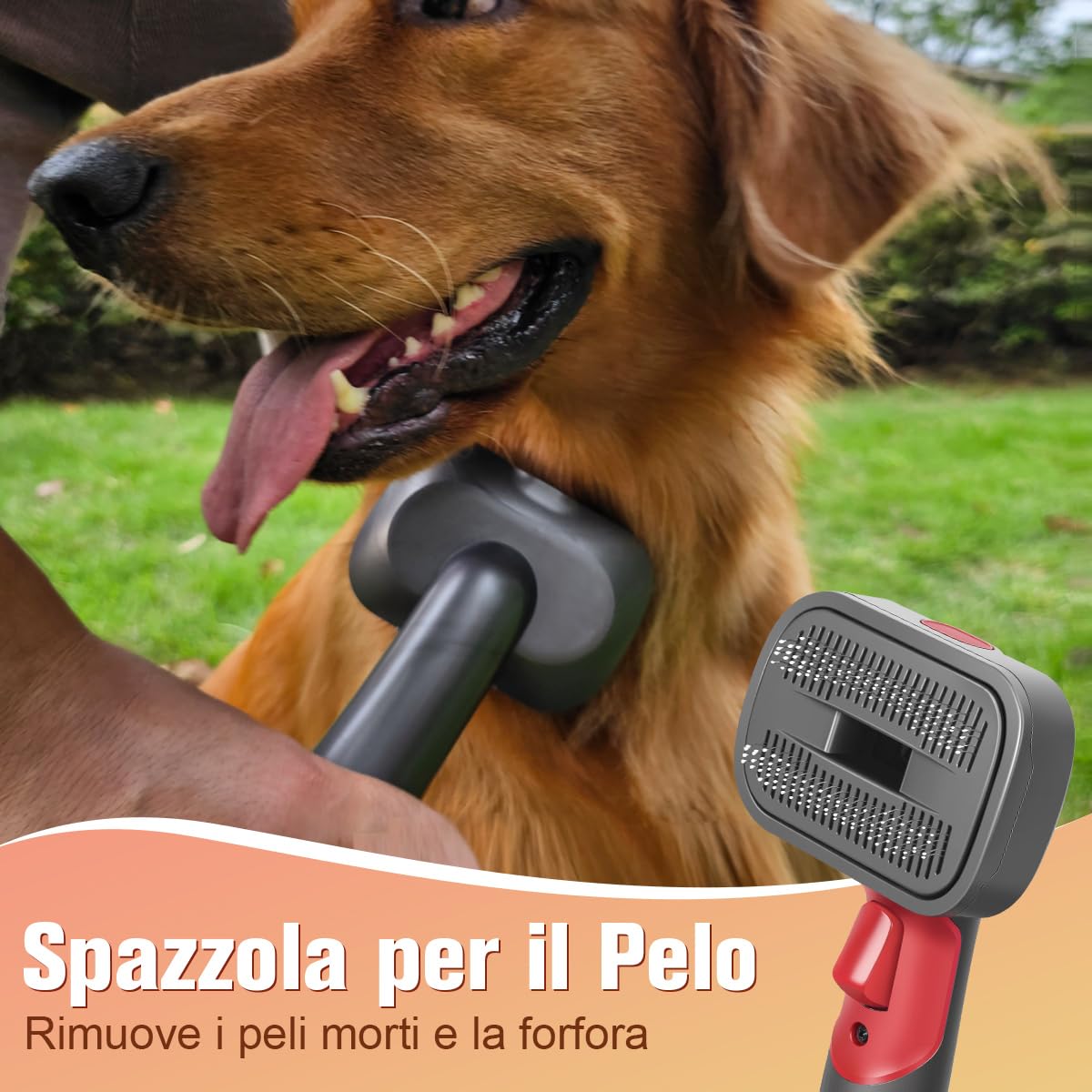 2-in-1 Spazzola di Aspirazione per Gatti e Cani Compatibile con Dyson Gen5 V15 V12 V11 V10 V8 V7, Ideale per Rimuovere Peli Sciolti, Forfora, Sottopelo e Grovigli