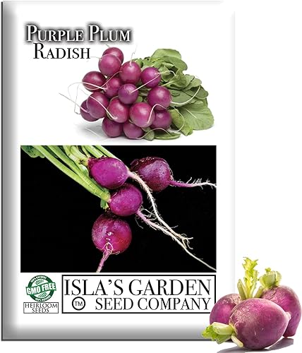 Semillas de rábano morado para plantar, más de 150 semillas de reliquia por paquete, semillas de jardín de Isla (semillas de jardín de Isla),