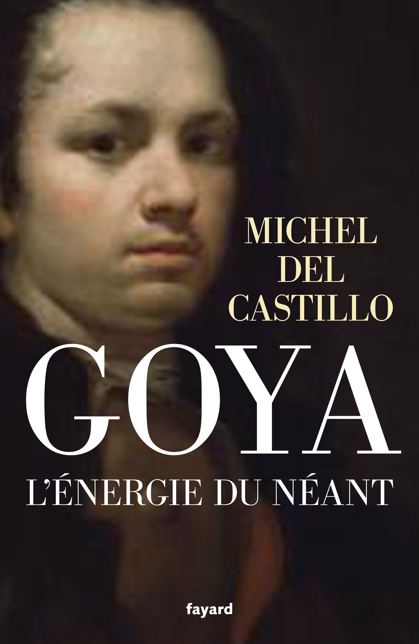 Goya: L'énergie du néant (French Edition)