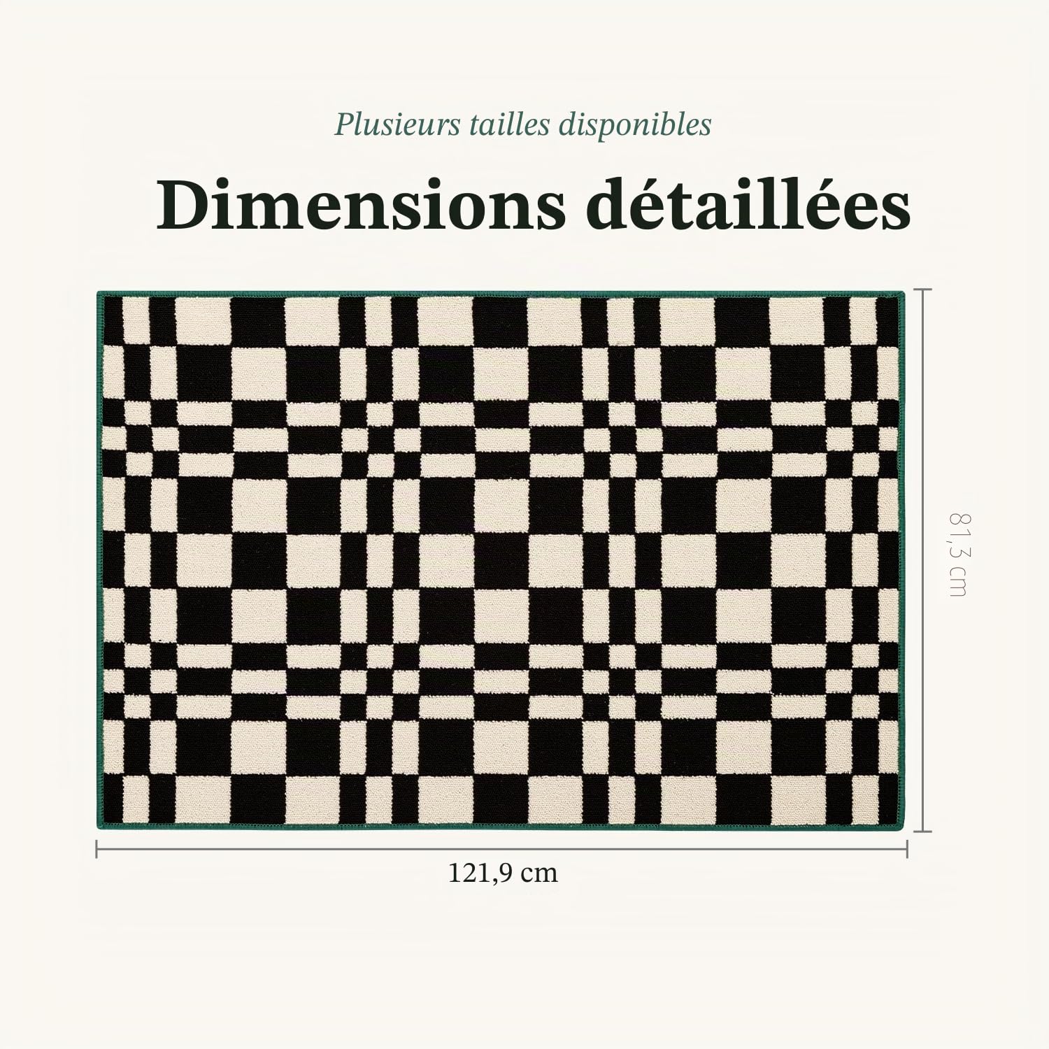 Biscpro Tapis à Carreaux Paillasson,Attrape-Poussière 80x120cm Tapis d'accueil pour Porte,Tapis d'intérieur antidérapant,Lavable et Absorbant,Tapis d'entrée à Profil Bas couloirs,buanderie(Noir)