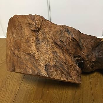 Amazon.co.jp: 1059 木の切り株 置物 木 鉢置き 台 花台 木の根 和