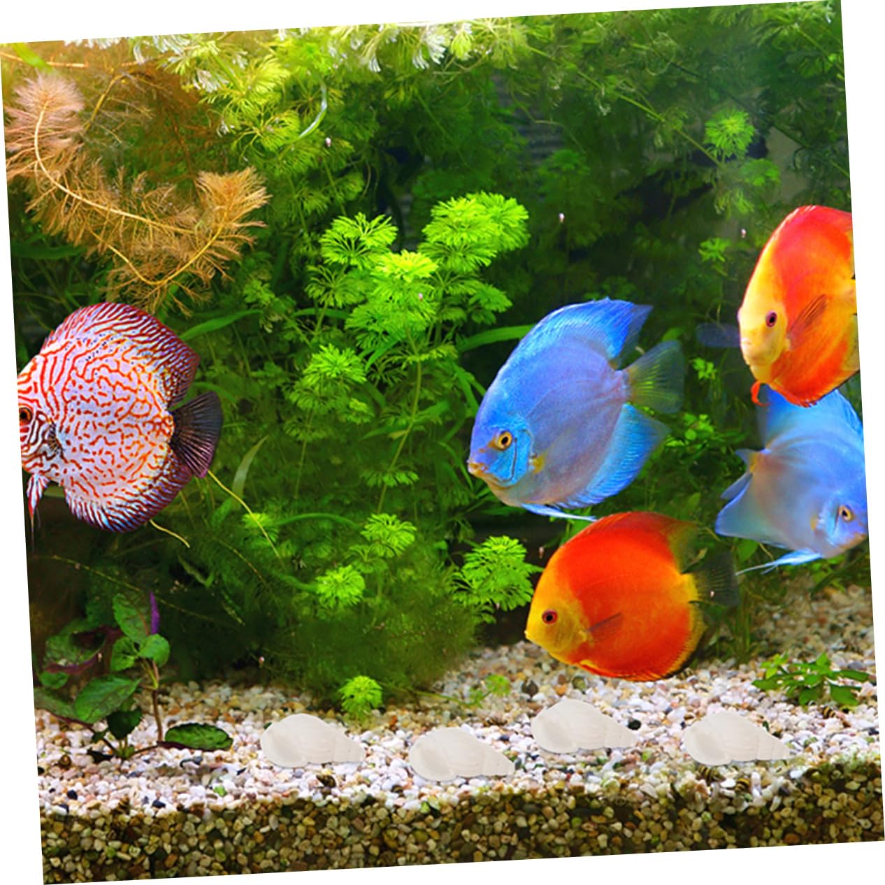 ULTECHNOVO 5 Set Decorazione A Conchiglia Conchiglie Mini Conchiglie Decorazioni per Acquari Piccoli Acquari A Forma di Conchiglia Decorazioni per Acquari A Forma di 400 Pezzi * 5