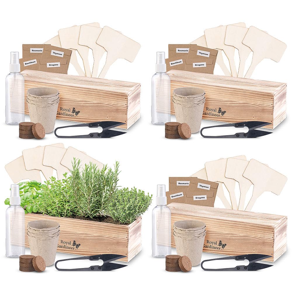 Royal Gardineer Pflanzen Anzuchtkits: 4er-Set Geschenkboxen Anzuchtsets italienische Kräuter (Pflanzen Samen Set, Starter, Gewürz)