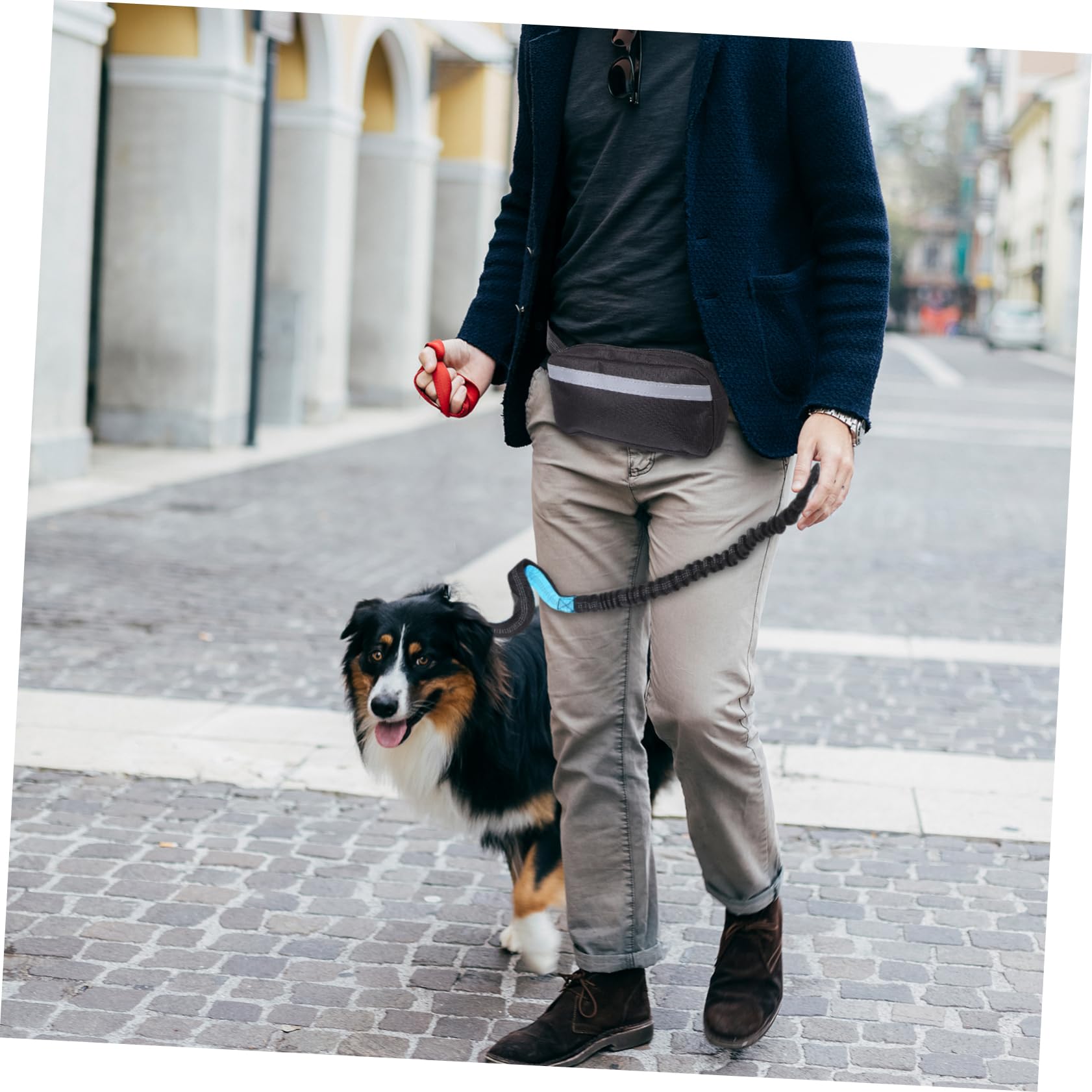TOYANDONA Guinzaglio da Corsa per Cani Elastico Antiurto Riflettente per Sicurezza con Marsupio da Jogging per Accessori Essenziali per Passeggiate e Attività all Aperto