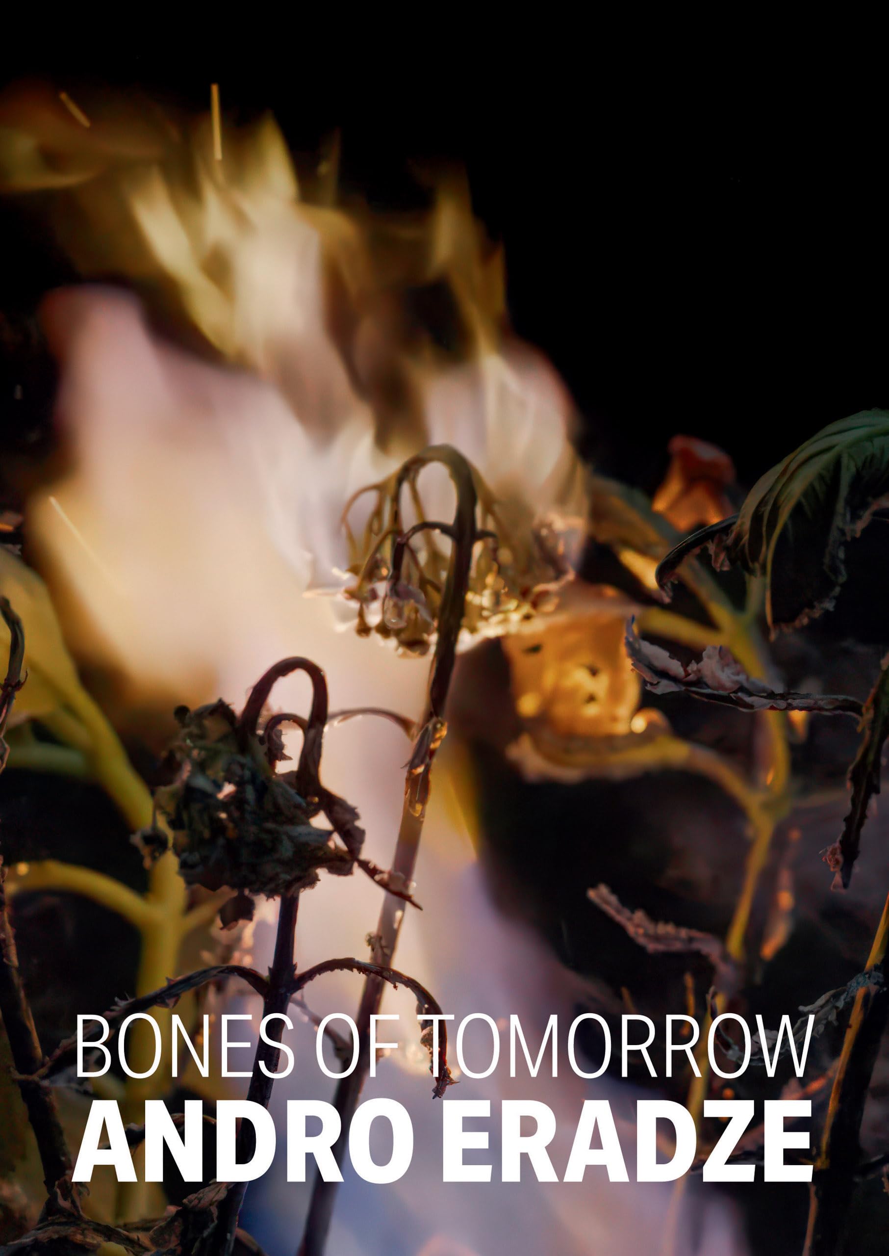 Andro Eradze. Bones of Tomorrow. Ediz. italiana e inglese