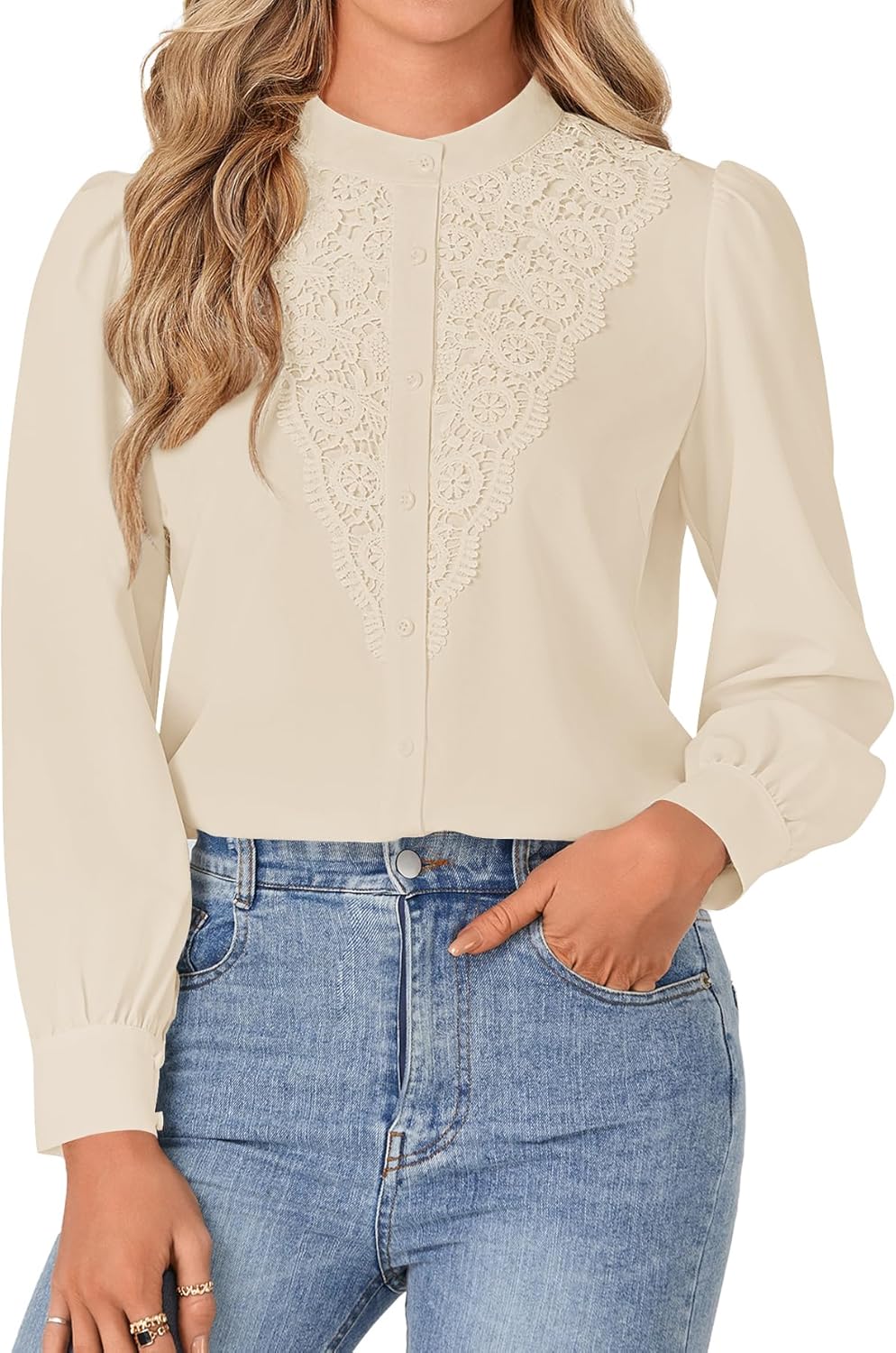 Rooscier Women's Lace Mock Long Sleeve Button Down Elegant Blouse Shirt Top Fall Clothes