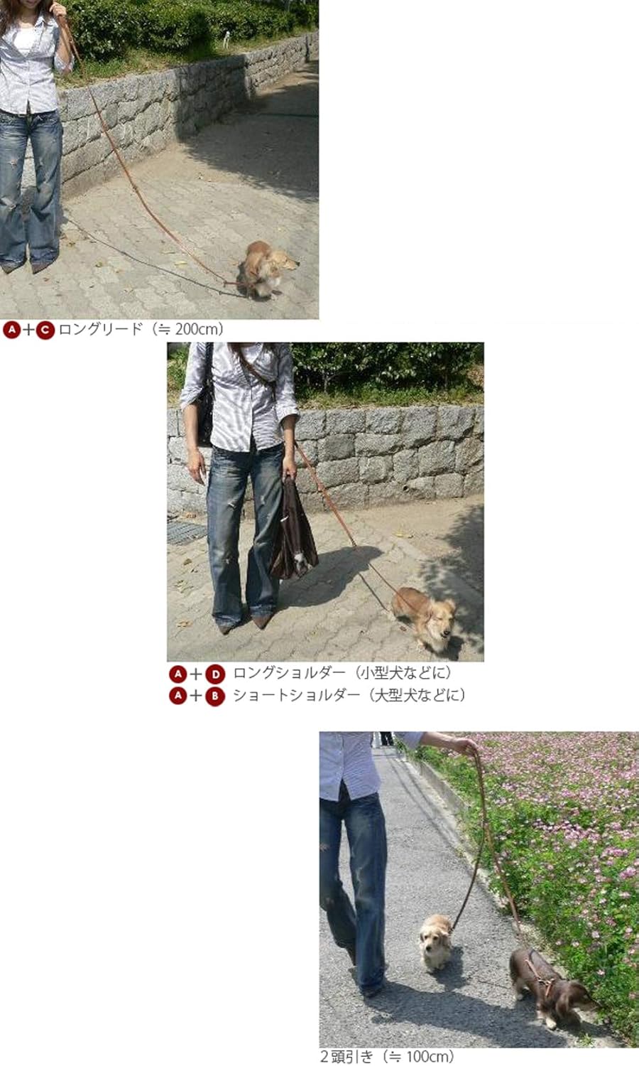 Ferplast Natural BE GA12/200 Dog Lead, 12 mm x 120-200 cm, Beige