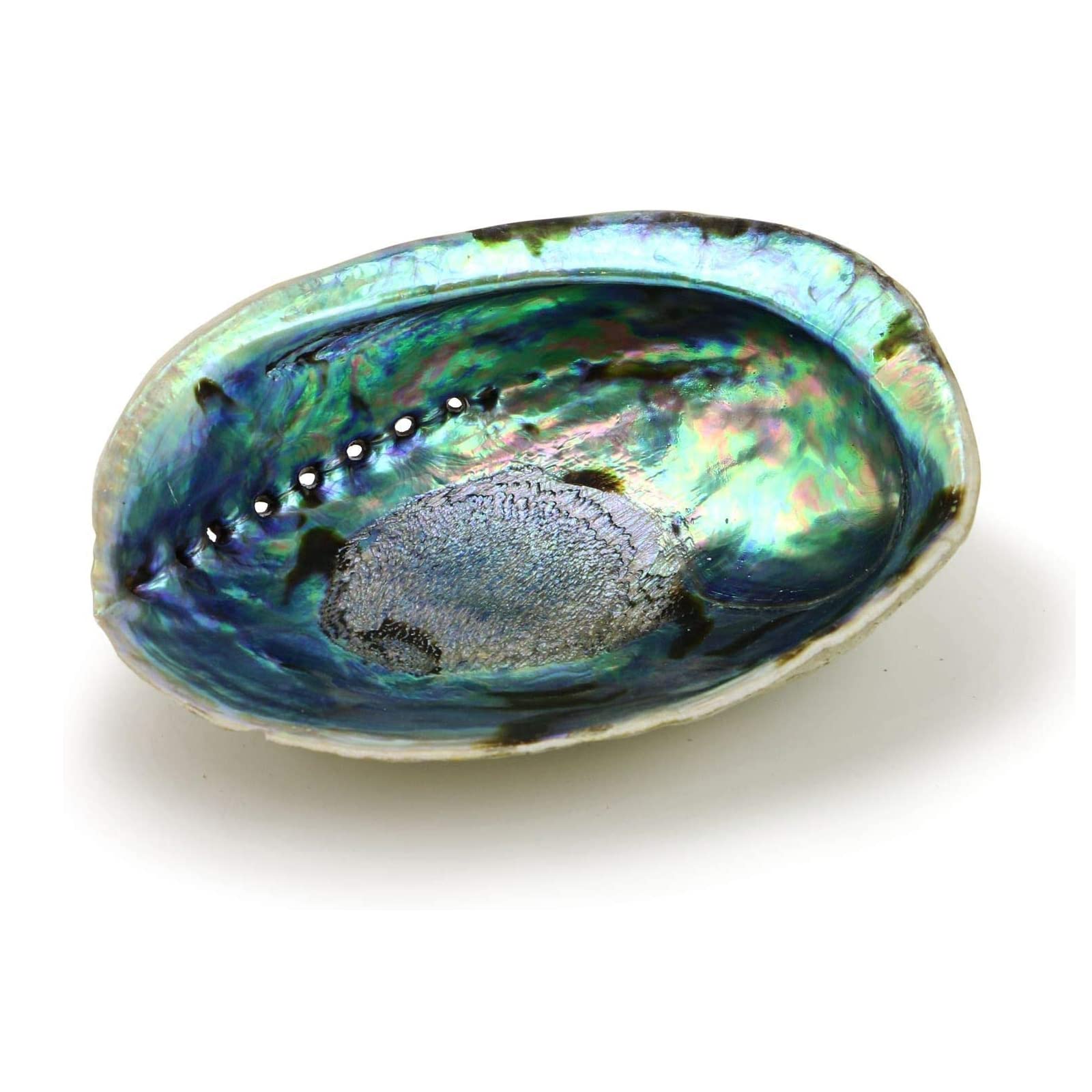 jaffiust Natural Abalone Seashell Highly Polished, Smudging Abalone Shell, White Sage Burner Holder for Cleansing, Meditation and Purification (Colorful)