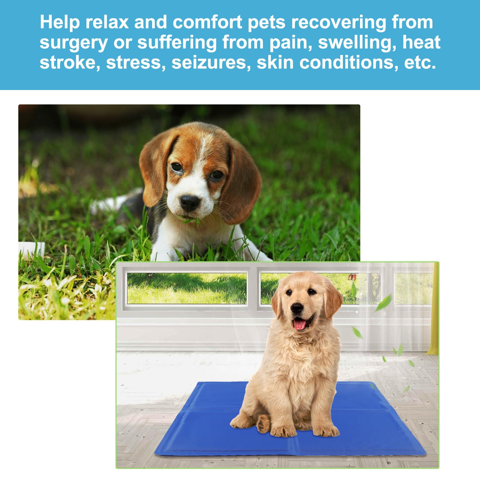 DEWEL Tappetino Refrigerante Cani e Gatti, Materassino Cane 50 x 65 cm, Adatto per Animali Domestici di Peso Inferiore a 15 kg, Raffreddamento Estivo del Lettino per Cani, Blu