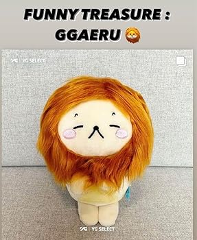 Amazon.co.jp: FUNNY TREASURE ジェヒョク GGAERU ぬいぐるみ