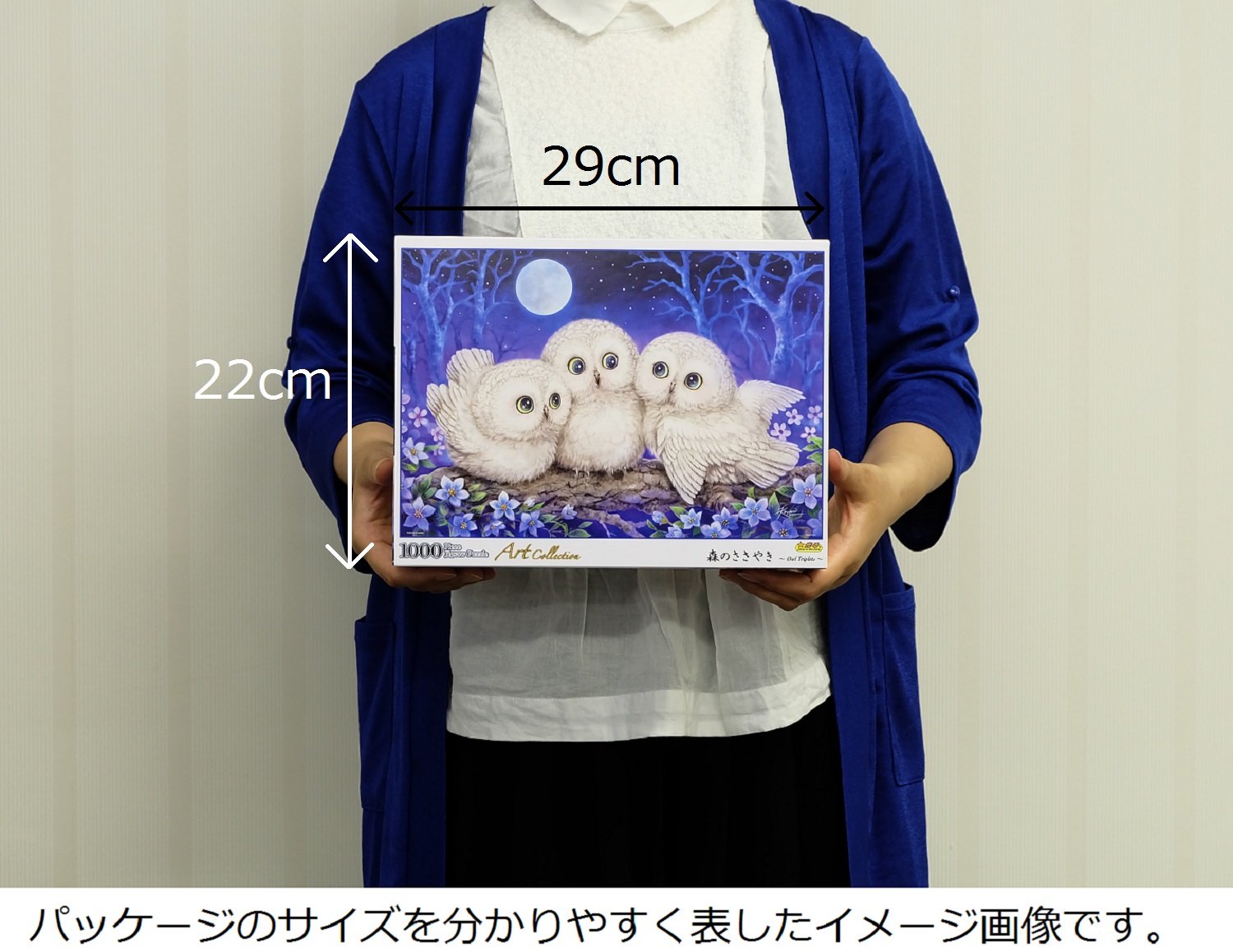 新品未開封】 光のささやき ジグソーパズル 1000ピース ステフェン