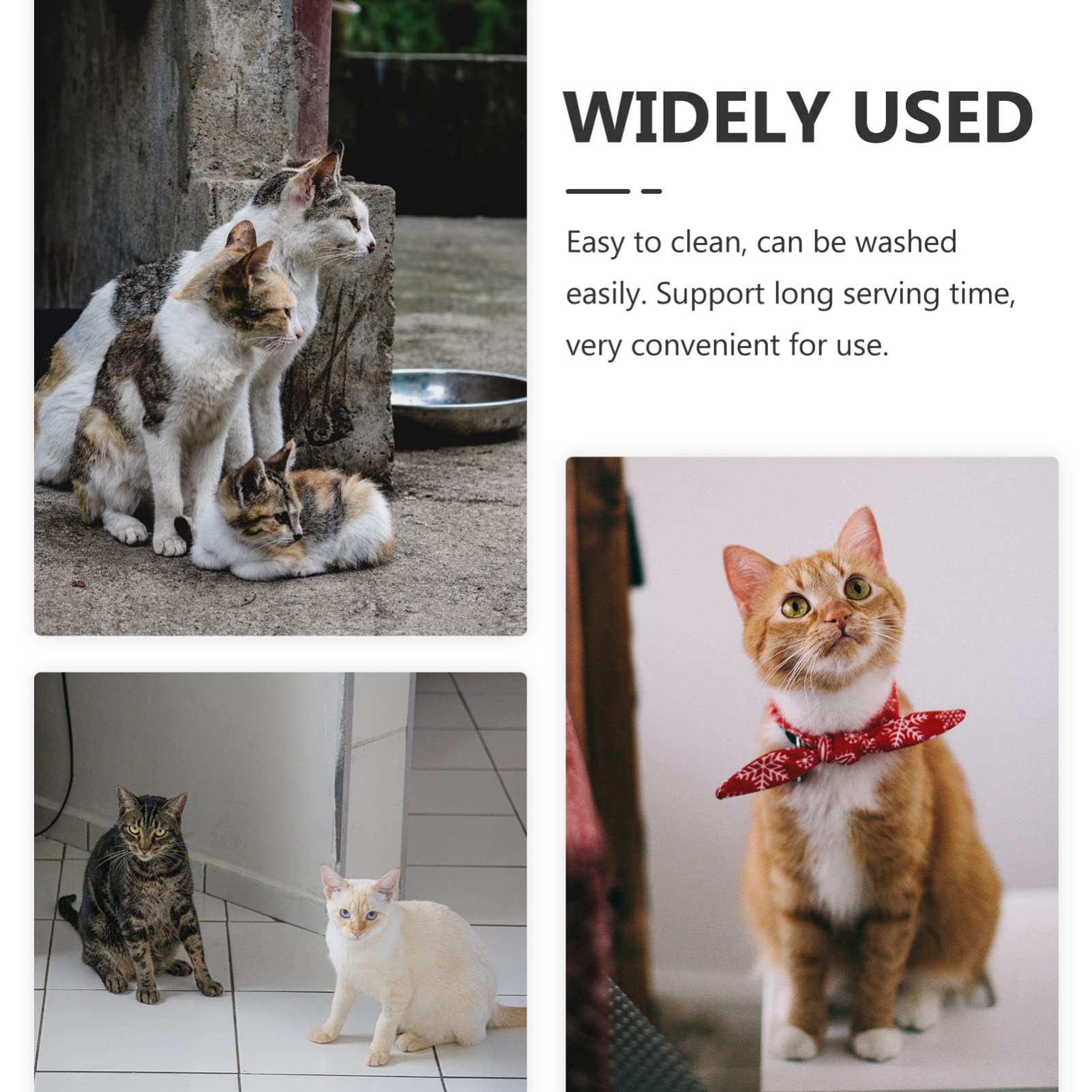 Toyvian Acier Inoxydable Gamelle pour Chat 4 Pièces Argenté