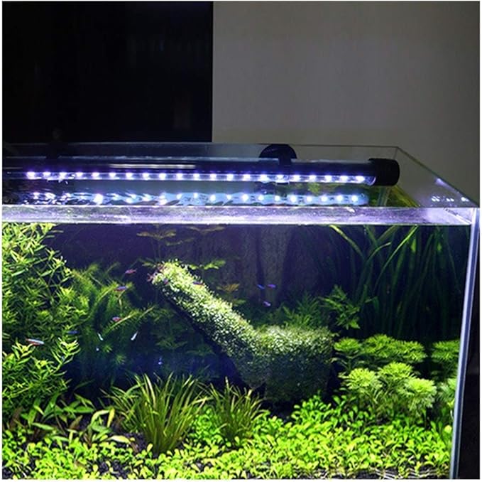値引 Lominie 水槽ledライト 水中led 水草 タイマー付きアクアリウム ライト 調光可能 水槽照明 淡水 防水 水陸両用 金魚 熱帯魚観賞魚 タンク用 51 7cm ブルー Shipsctc Org